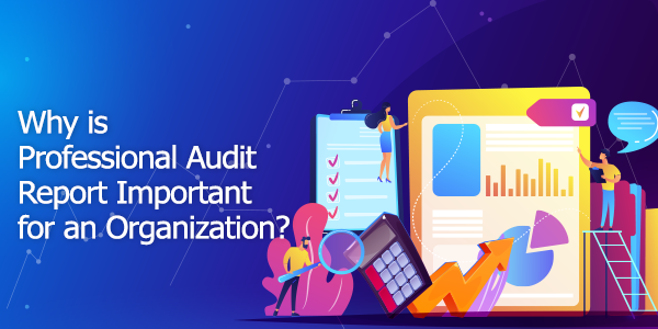 Why is Professional Audit Report Important for an Organization?